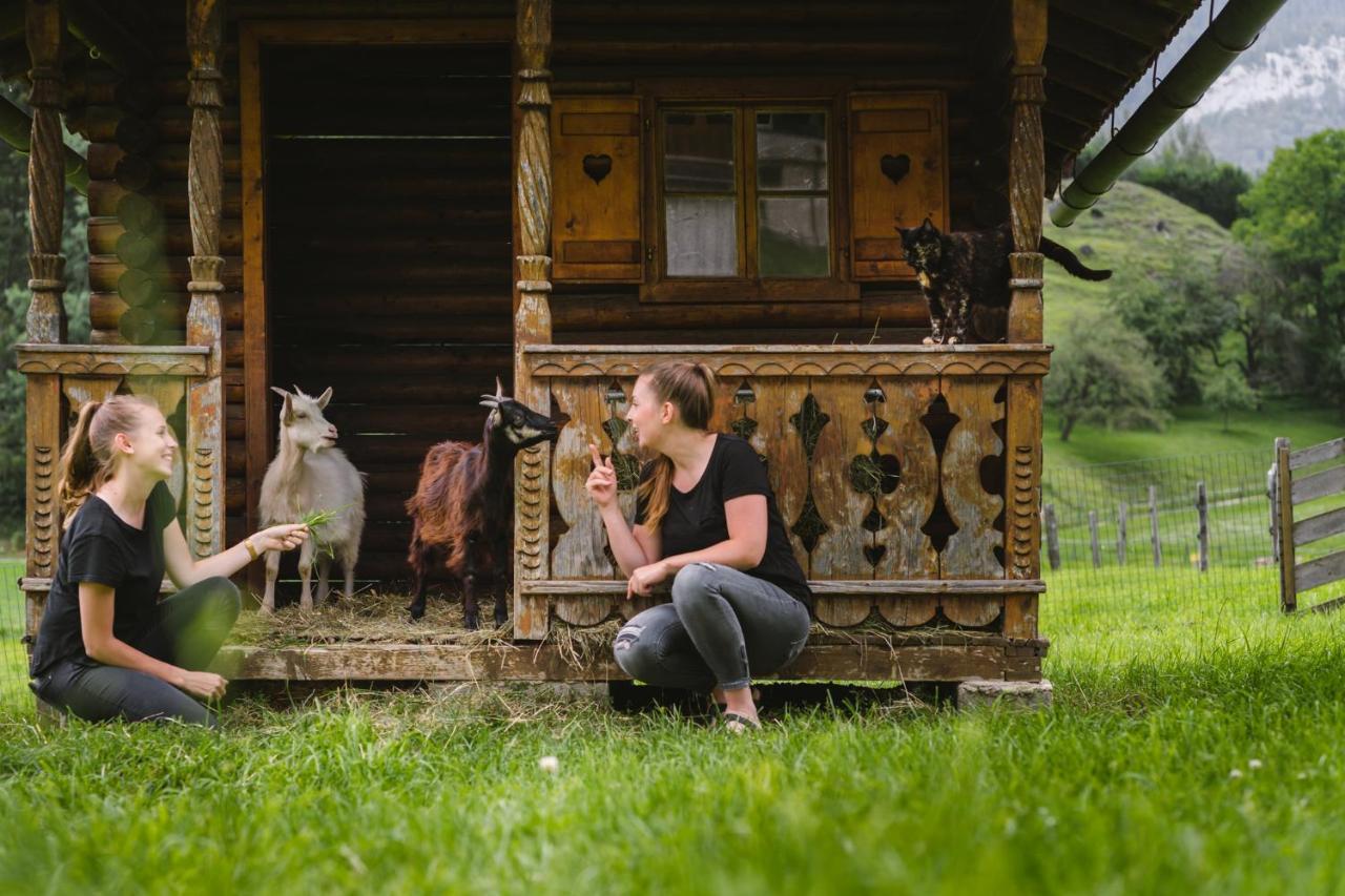 Pension Glitschnerhof Aigen im Ennstal Zewnętrze zdjęcie