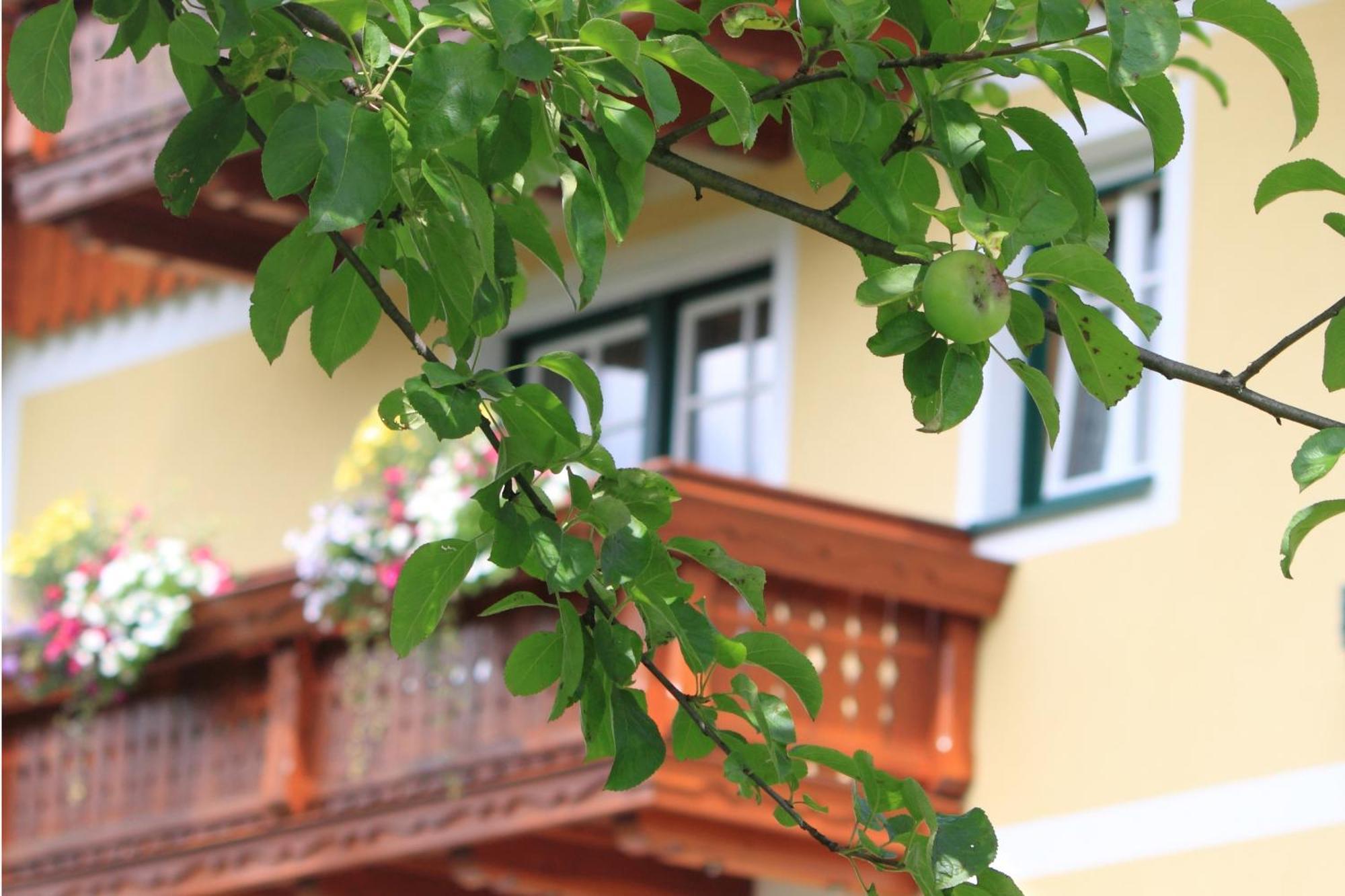 Pension Glitschnerhof Aigen im Ennstal Zewnętrze zdjęcie